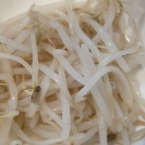 日持ちがする作り置き 塩もやし レシピ 作り方 By さくらもっち 楽天レシピ 日持ちがする作り置き 塩もやし レシピ 作り方 By さくらもっち 楽天レシピ
